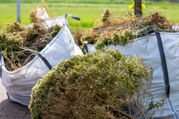Best Hoarding Cleanup  in Hartshorne, OK