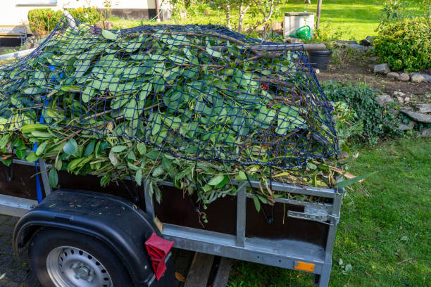 Professional Junk Removal Services in Hartshorne, OK